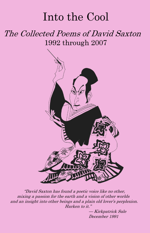 Into the Cool: The Collected Poems of David Saxton, 1992 Through 2007